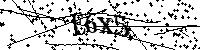 Bitte tippen Sie die unten aufgeführten Buchstaben und Zahlen ein.